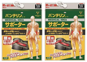 y×2ZbgzoeR[ T|[^[ p ^Cv ubN 傫߃TCY (ւ) 95-115cm@T|[^[ Ep oe(4972422030582)