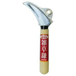 �y�z�����܂����������zE-Value �G���� EG-120 1��