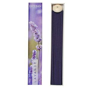 yz܂zESTEBAN (GXeo) uGXvhi`[ x_[ XeBbN40{v 1