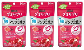 【×3袋セットメール便送料込】UHA味覚糖 グミサプリ 鉄+大豆イソフラボン 14日分 28粒