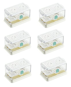 y×6ZbgzRWbg A󂹂P[X(4969133916144)