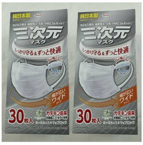 【 30枚入×2箱セット送料込】興和 三次元マスク すこし大きめ Lサイズ ホワイト 30枚入