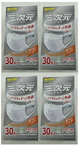 【 30枚入×4箱セット送料込】興和 三次元マスク すこし大きめ Lサイズ ホワイト 30枚入