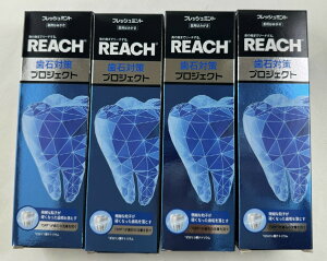 y×4 z܂zXet@j[ [` Α΍ vWFNg ݂ 120g