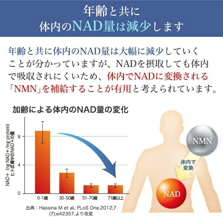 楽天市場】SBIアラプロモ SBI BEST NMN 60カプセル : ケンコウlife