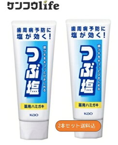 【×2本セット送料込】花王 つぶ塩薬用ハミガキ スタンディングチューブ 180g
