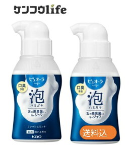 y×2{Zbgzԉ sI[ p An~KL tbV~g 110ml@L\hɂ͖An~KL(4901301457004)