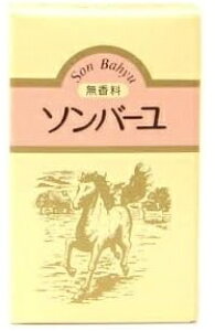 t \o[ @@70ml@n100̃N[ ǎȍY̔n̎bA^Cɂ蒊o ̐́A哹lĂuK}̖vunv(n̖) (4993982009