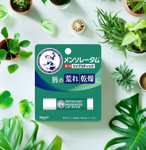 y[֑z[g \[^ pbvXeBbN XD 4g(4987241105052)OrĂƂ̌g̉n 1