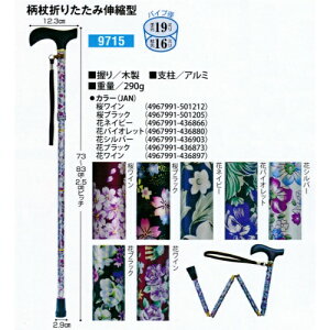 yzCtXebL ܂肽ݐLk^ ԃC 1{