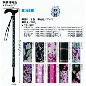 yzCtXebL Lk^iX^Cvj ԃlCr[ 1{