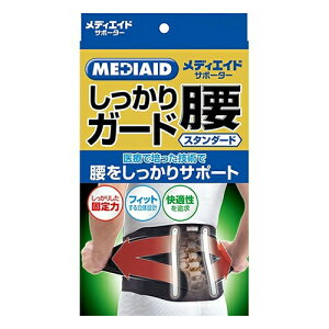 y݁z{VO}bNX fBGCh T|[^[ K[h X^_[h M ubN 1@T|[^[ Ep fBGCh 4946452055242