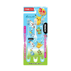 yE܂Ƃߔ×6ZbgzXet@j[ [`LbY |P 2020 ͂p 3{pbN ǂpnuV