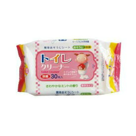 【送料込・まとめ買い×6個セット】ペーパーテック 除菌 トイレクリーナー さわやかなミントの香り 30枚入