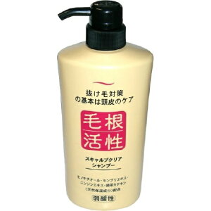 WERXeBbN XLvNA Vv[ 550ml э {( 4964653101247 )