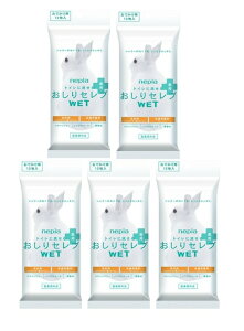 y12×5pbN@[֑zlsA gCɗ Zu WETEGbg p łp gCɗ邨̐V[g(gCbgy[p[ EGbg^Cv) 1