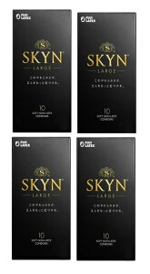 y10 ×4 zs񃉃ebNX SKYN [W Rh[@XL@D@SKYN@oYv(4902510180097)