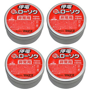 y×4 z܂z}GX dʓ[\N p RĎԖ8 ( hЗpiEE\N )