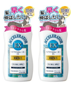 y܂Ƃߔ×2{ZbgzTf wAANZ[^[ EX t[Abv̍ 150ml@𑁂̂΂@̐i wAANZ[^[p[Abv 4987046120342