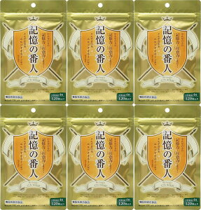 y×6܃Zbg[֑zyGEGXz L̔Ԑl 120