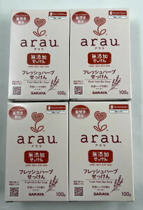 y×4ZbgzT arau. AE tbVn[u 100g @ɂŌ`Ό