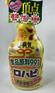 y݁zA[X A[XK[f ns 1000mly_z