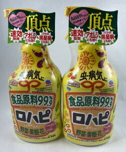 y×2{Zbg݁zA[X A[XK[f ns 1000mly_z