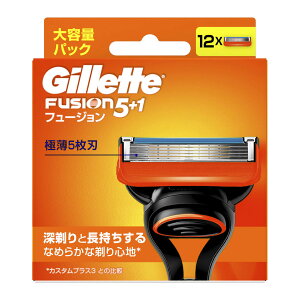 P&G �W���b�g �t���[�W���� �}�j���A�� �֐n 12B 12��