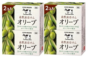 y 100g×2R×2ZbgzΌi JEuh Rh΂ I[u