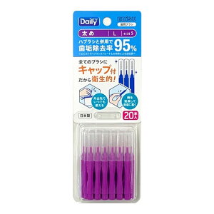 GrX B-D4665 fC[ Lbvt ԃuV 20{ L 