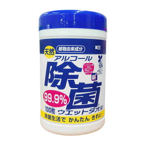 【送料込・まとめ買い×6個セット】コーヨー化成 天然 アルコール除菌 ウエットタオル ボトル 100枚入