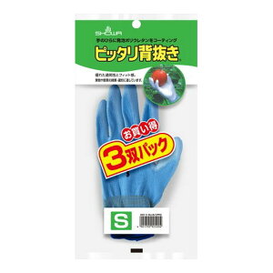 V[O[u E^w  No260 sb^w u[ STCY 3opbN