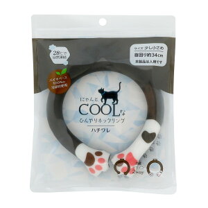 yE܂Ƃߔ×6ZbgzcY ɂƃN[ȂЂ lbNN[O n` lbNN[[