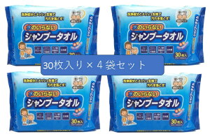 y×4܃ZbgzꎆH ̂ȂVv[^I 30 EFbgeBbV@ЊQ  hЃObY(4962035613791)