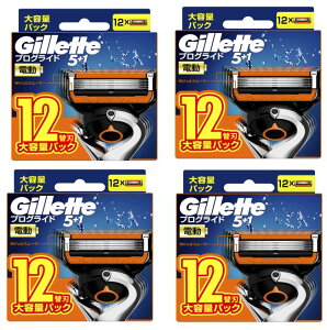 y12 J~\ւn×4ZbgzP&G Wbg vOCh p[ d ֐n (4987176218988)