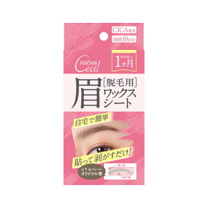 �O�� �e���X�^�[�Z�V�� �E�їp �����b�N�X�V�[�g ����10��