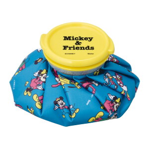 yE܂Ƃߔ×4ZbgzXP[^[ ACXobO S ~bL[&tY ICB1 a15cm