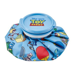 XP[^[ ACXobO S ICB1 gCEXg[[23 X̂