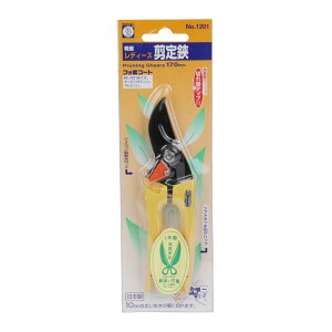 y×3 z܂zT{e fB[X  CG[