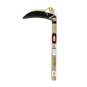 yE܂Ƃߔ×10Zbgzgcn ㍲g B^ ()170mm