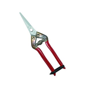 yz܂zߐ `J}T XeXRۃnT~ T-55SKF |pi 1