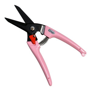 yE܂Ƃߔ×12ZbgzSaboten T{e fB[XX  sN