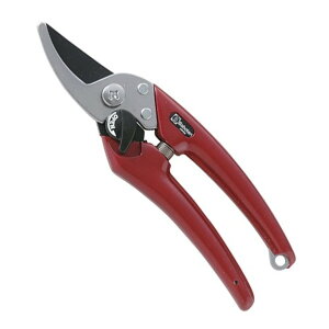 yE܂Ƃߔ×72ZbgzSaboten T{e fB[X EX-6 |pi