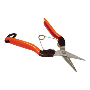 yE܂Ƃߔ×8ZbgzSaboten T{e Eʂ͂ AG-7 |pi