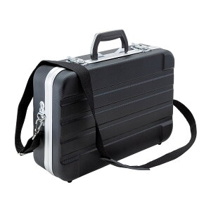 �����Y�� SK11 ABS�P�[�X ABST-428