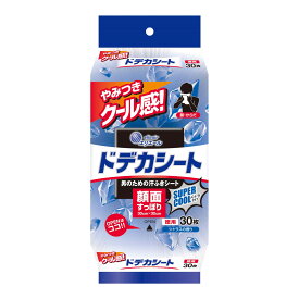 大王製紙 エリエール forMEN ドデカシート スーパークールタイプ 徳用 30枚入