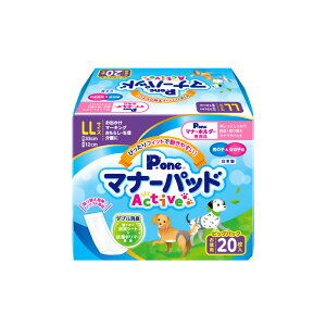 yE܂Ƃߔ×6Zbgzq PE }i[pbh Active rbOpbN LLTCY 20