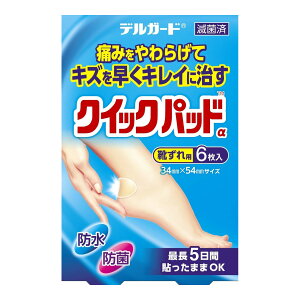 y×8 z܂zh fK[h NCbNpbh Cp Jnp 6