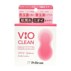 �y�������E�܂Ƃߔ���×6�Z�b�g�z�y���J���Ό� VIO CLEAN �f���P�[�g�\�[�v 105g