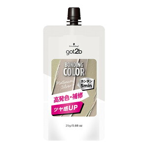 �y�z�����܂����zgot2b �{���f�B���O�E�J���[�~�j �v���`�i�V���o�[ �J���[�g���[�g�����g 25g �w���P���W���p�� 1��